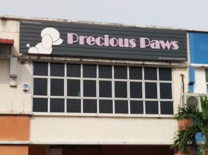 Paws pet hotsell store near me